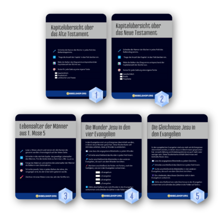 Studienkarten Saphir 1-5 (Sparpaket)